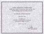 FUE kurzus diploma